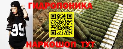 гашик Гатчина