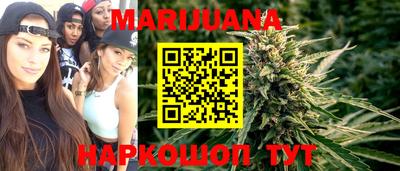 гашик Гатчина