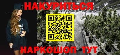 гашик Гатчина