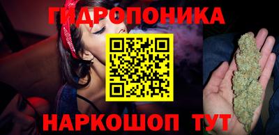 гашик Гатчина