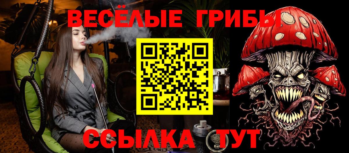 Псилоцибиновые грибы GOLDEN TEACHER Иркутск
